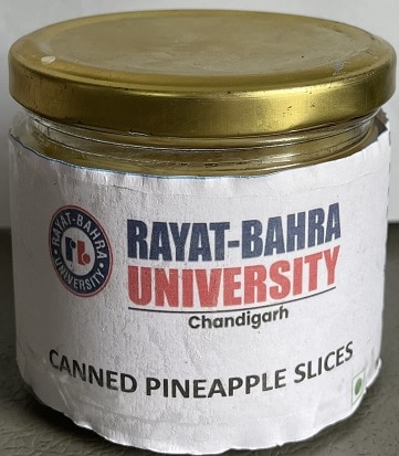 Canned Pineapple Slices Front