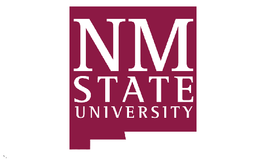 NM logo curve